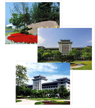 浙江大學(xué)